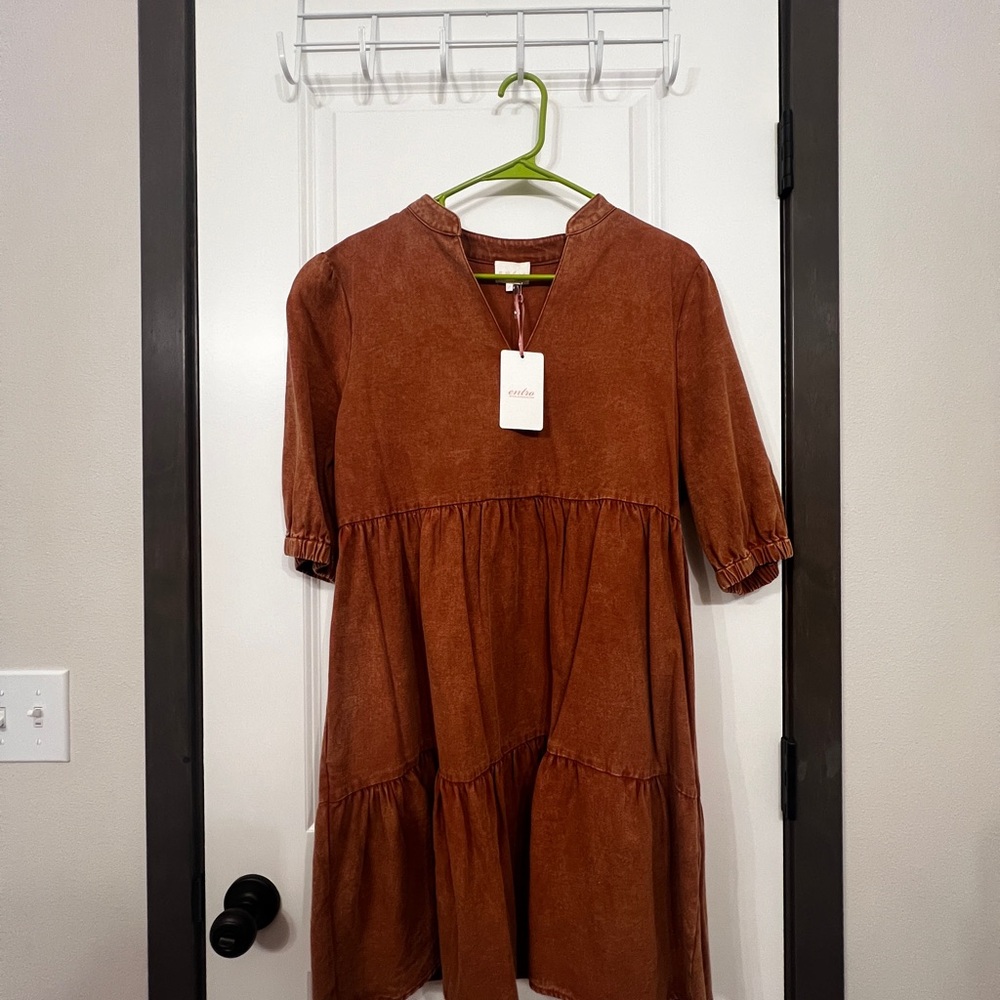 Stylish Brown Dress
